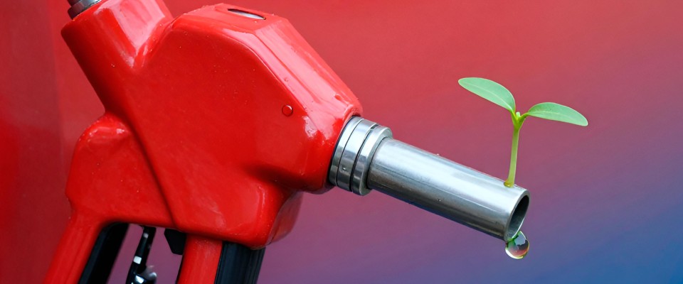 Biocombustibles México